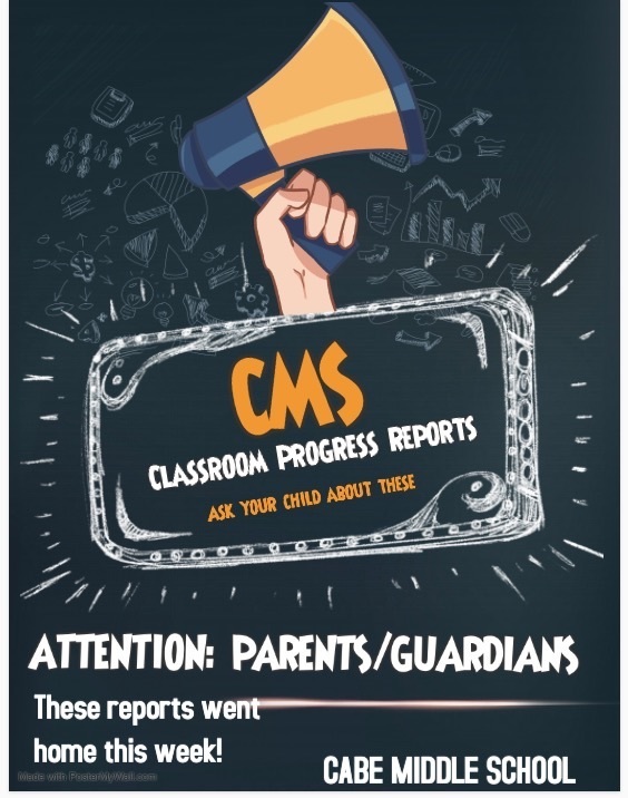 CMS Progress Reports