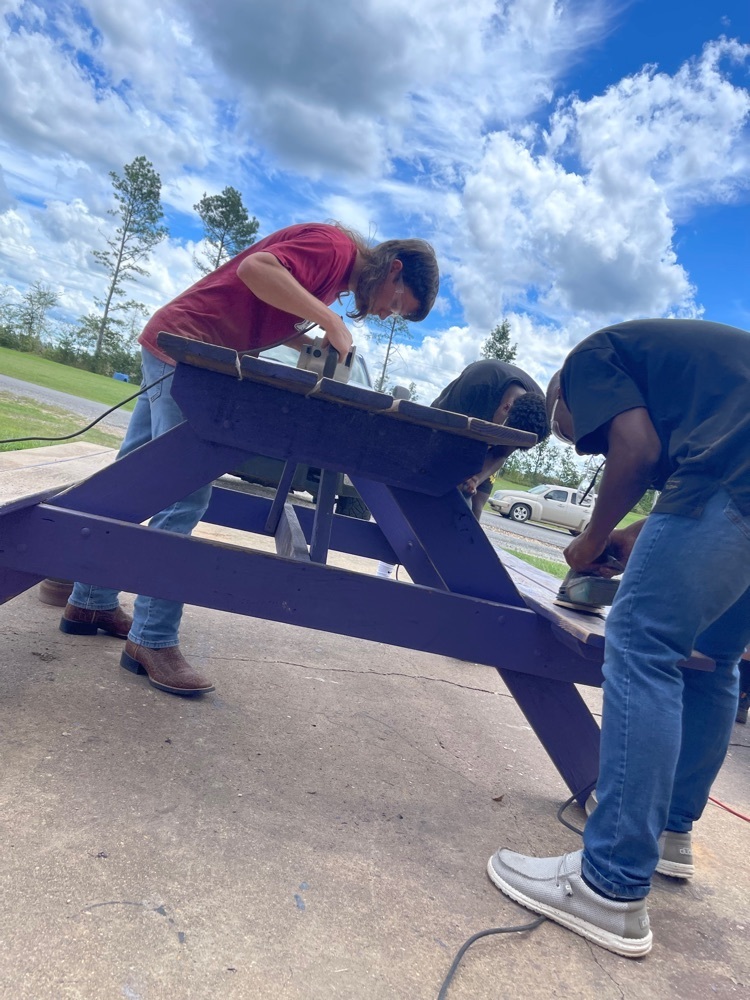 Project picnic tables!